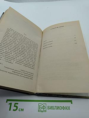 Специалист. Бандитский Петербург