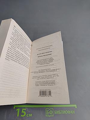 Версаль под Хохлому