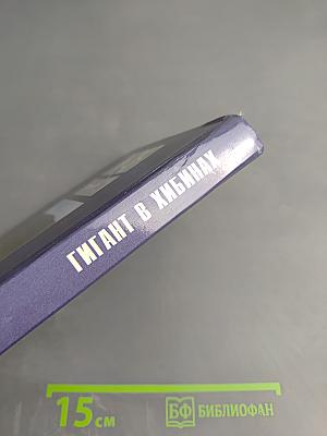 Гигант в Хибинах