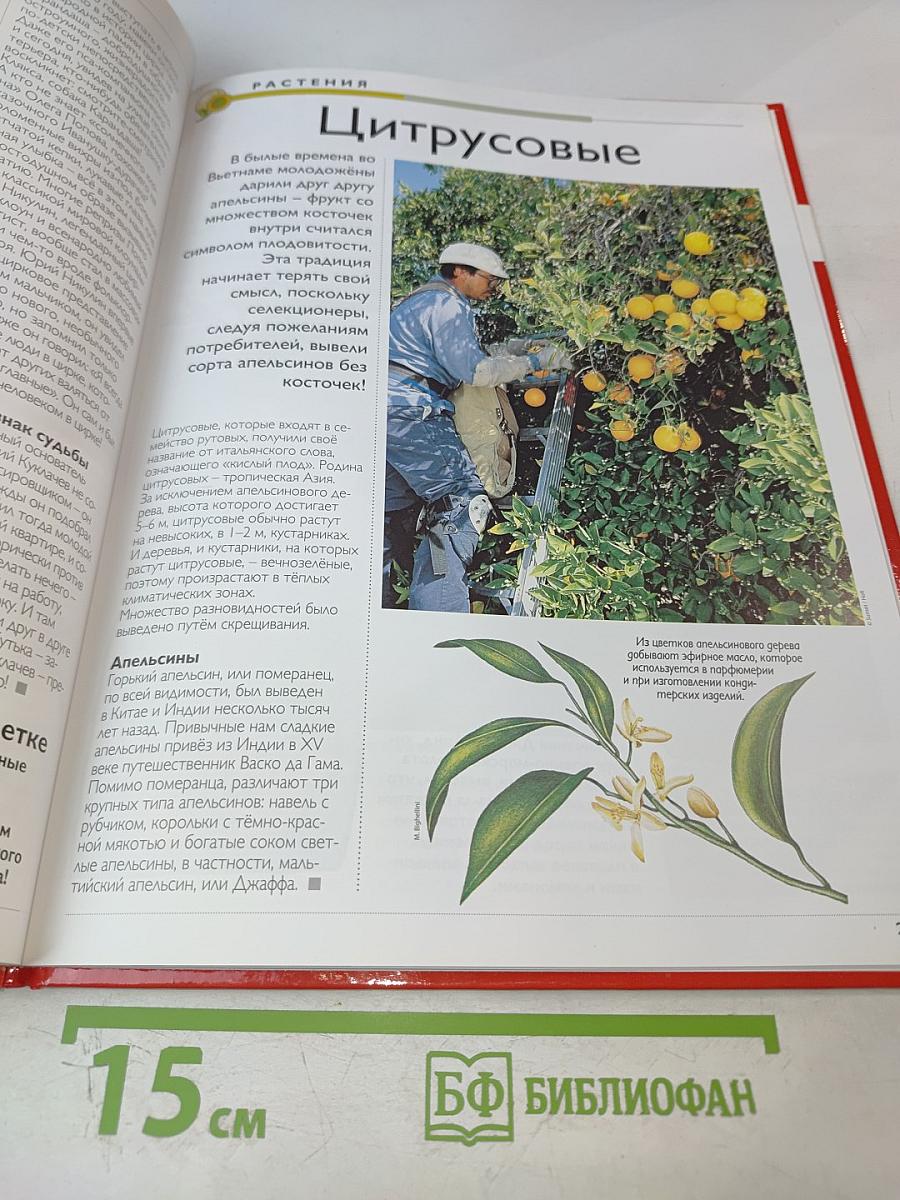 Наш мир от А до Я. Энциклопедия для детей № 64. От дикорастущих цветов до плоских червей и круглых червей