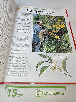 Наш мир от А до Я. Энциклопедия для детей № 64. От дикорастущих цветов до плоских червей и круглых червей