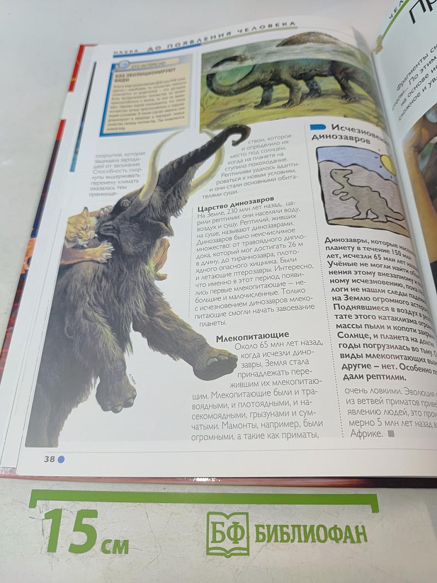 Наш мир от А до Я. Энциклопедия для детей № 64. От дикорастущих цветов до плоских червей и круглых червей