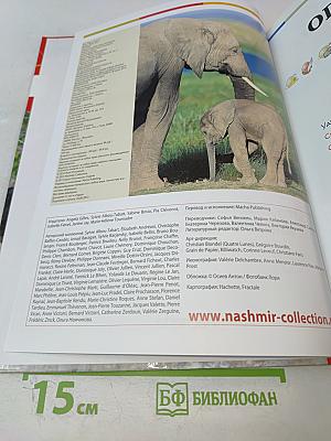 Наш мир от А до Я. Энциклопедия для детей №55