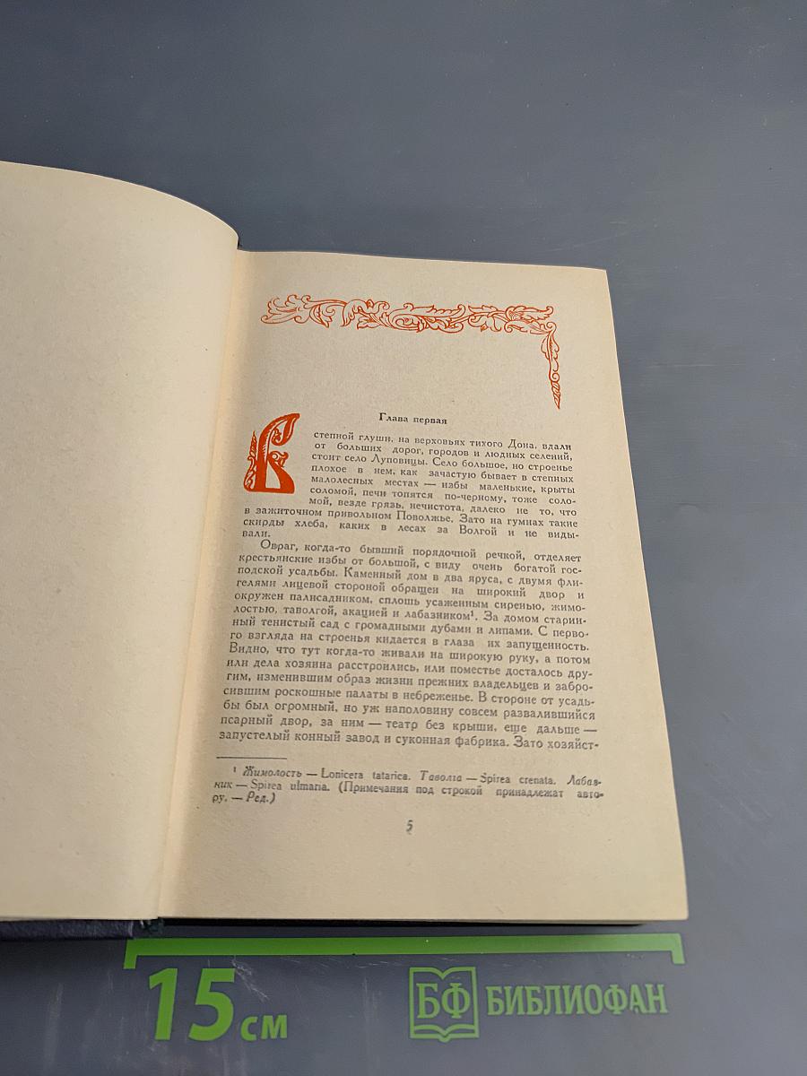 На горах. Книга вторая (Часть третья и четвертая)