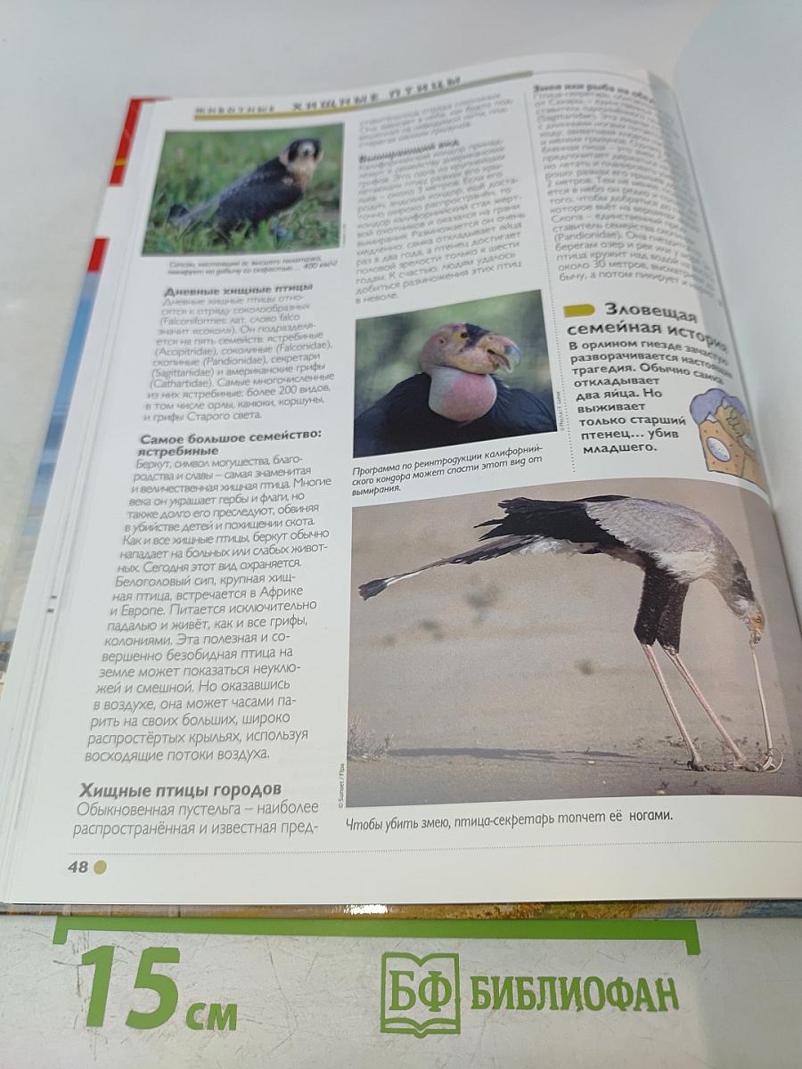 Наш мир от А до Я. Энциклопедия для детей. Том 62. От французских аббатств до хищных птиц