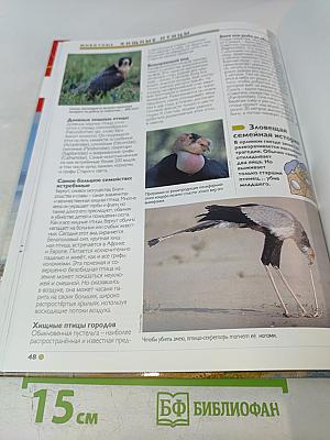 Наш мир от А до Я. Энциклопедия для детей. Том 62. От французских аббатств до хищных птиц