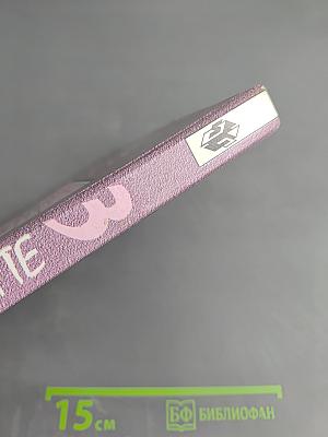 Шаги 3: Учебник немецкого языка для 7 класса