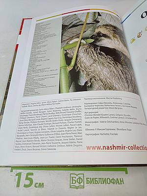 Наш мир от А до Я. Энциклопедия для детей, Том 41