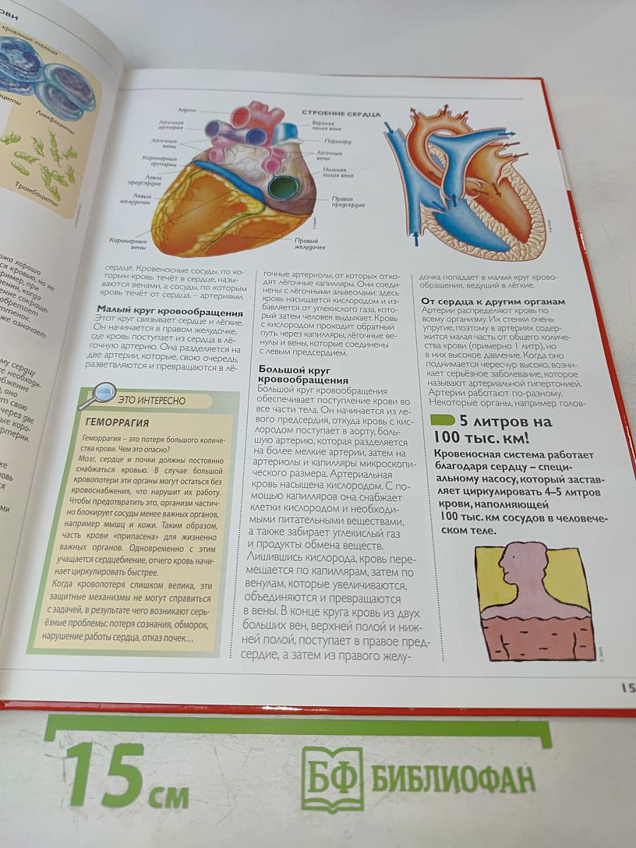 Наш мир от А до Я. Энциклопедия для детей №26