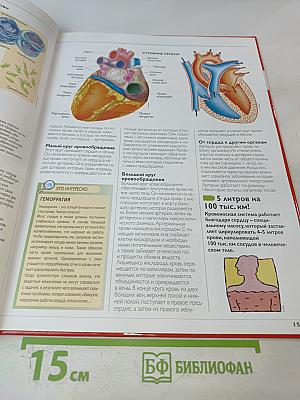 Наш мир от А до Я. Энциклопедия для детей №26