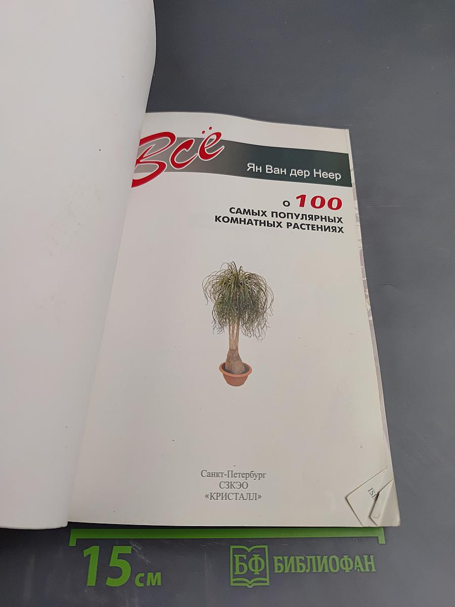 Все о 100 самых популярных комнатных растениях