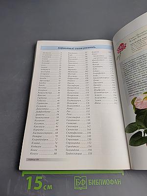 Все о 100 самых популярных комнатных растениях