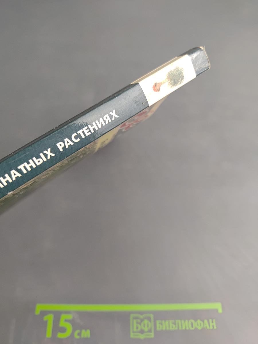 Все о 100 самых популярных комнатных растениях