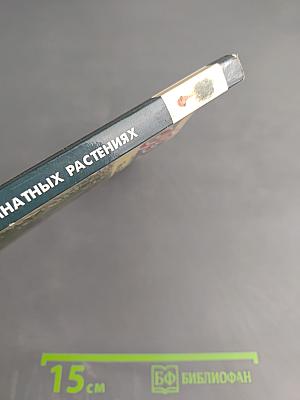 Все о 100 самых популярных комнатных растениях