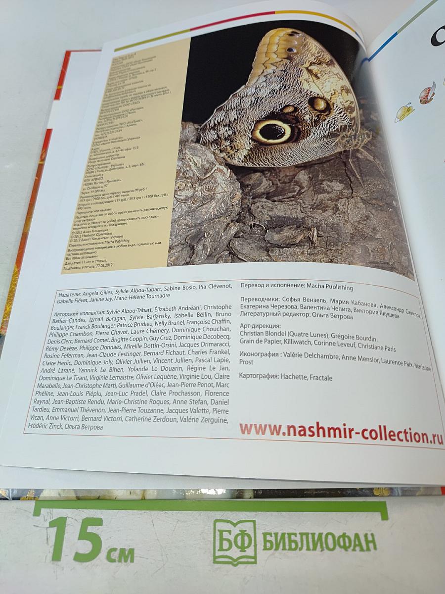 Наш мир от А до Я. Энциклопедия для детей. Том 29: От Людовика Святого до масличных растений