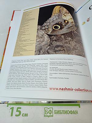 Наш мир от А до Я. Энциклопедия для детей. Том 29: От Людовика Святого до масличных растений