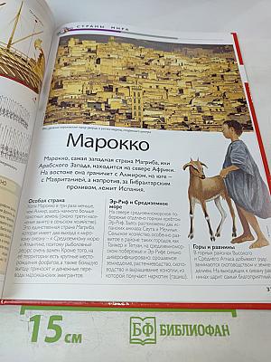 Наш мир от А до Я. Энциклопедия для детей. Том 29: От Людовика Святого до масличных растений