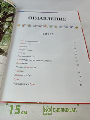 Наш мир от А до Я. Энциклопедия для детей. Том 28: От лесов умеренной зоны до исследований Луны