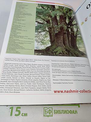 Наш мир от А до Я. Энциклопедия для детей. Том 28: От лесов умеренной зоны до исследований Луны