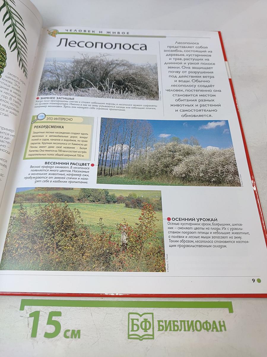 Наш мир от А до Я. Энциклопедия для детей. Том 28: От лесов умеренной зоны до исследований Луны