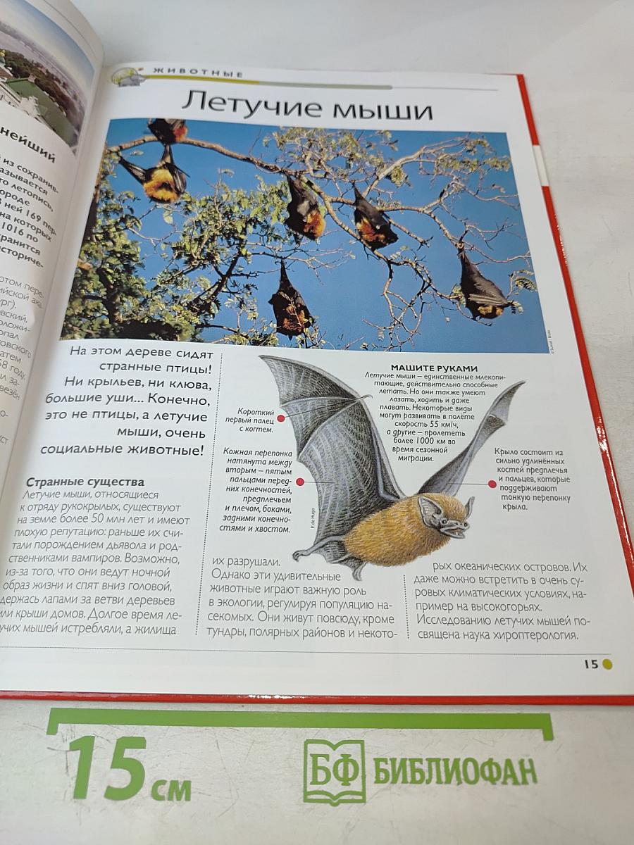 Наш мир от А до Я. Энциклопедия для детей. Том 28: От лесов умеренной зоны до исследований Луны