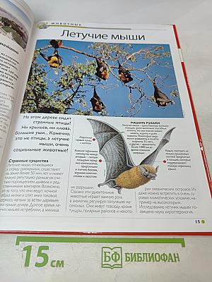 Наш мир от А до Я. Энциклопедия для детей. Том 28: От лесов умеренной зоны до исследований Луны