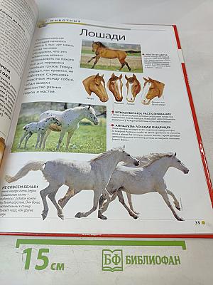 Наш мир от А до Я. Энциклопедия для детей. Том 28: От лесов умеренной зоны до исследований Луны