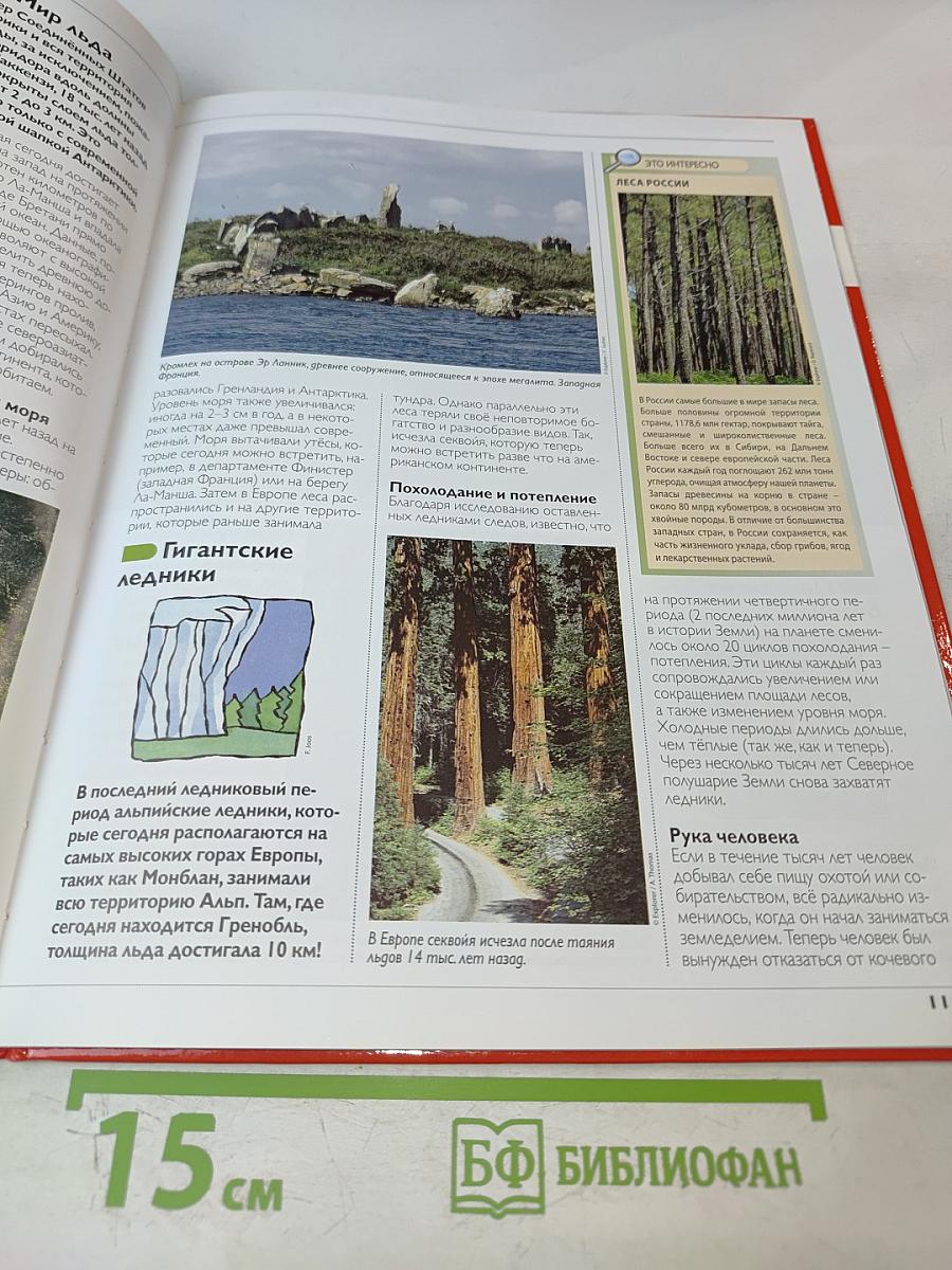 Наш мир от А до Я. Энциклопедия для детей. Том 27: От ламы, верблюда, дромадера до леса