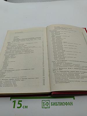Петрография