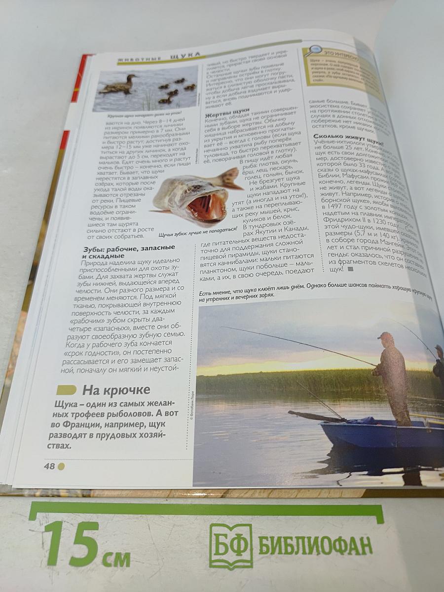 Наш мир от А до Я. Энциклопедия для детей. Том 65. От черепах до щуки