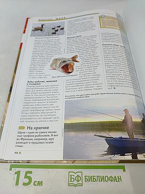 Наш мир от А до Я. Энциклопедия для детей. Том 65. От черепах до щуки