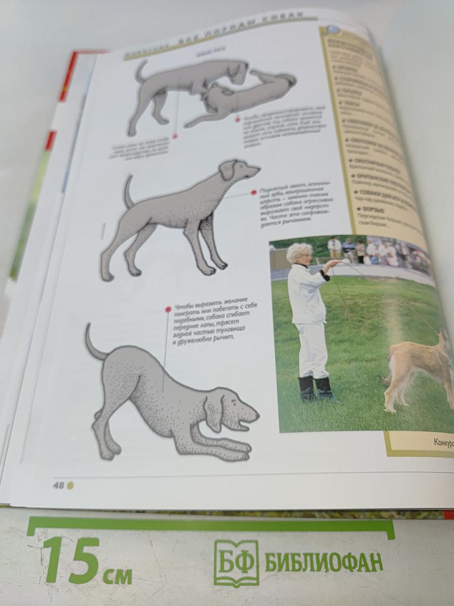 Наш мир от А до Я. Энциклопедия для детей. Том 53