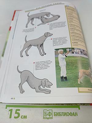 Наш мир от А до Я. Энциклопедия для детей. Том 53