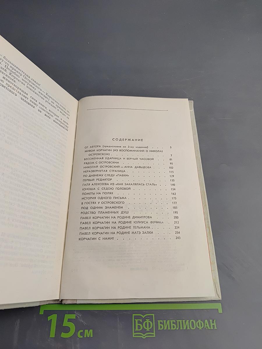 Живой Корчагин