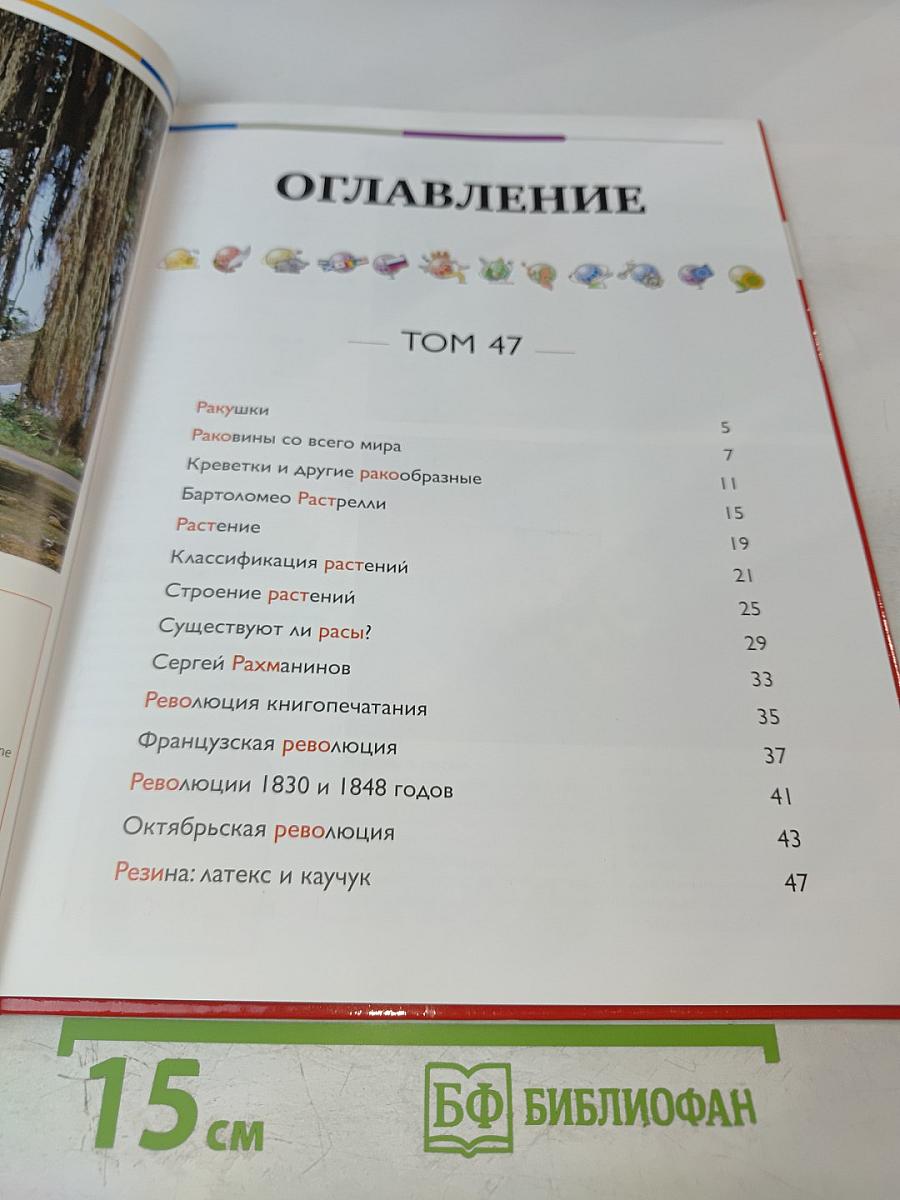 Наш мир от А до Я. Энциклопедия для детей. Том 47: От ракушек до резины: латекса и каучука