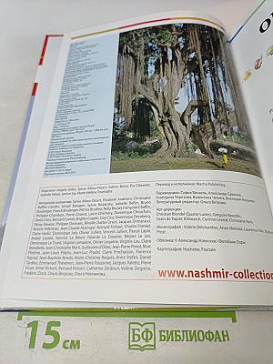 Наш мир от А до Я. Энциклопедия для детей. Том 47: От ракушек до резины: латекса и каучука