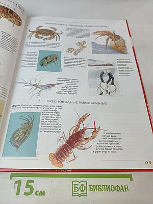 Наш мир от А до Я. Энциклопедия для детей. Том 47: От ракушек до резины: латекса и каучука