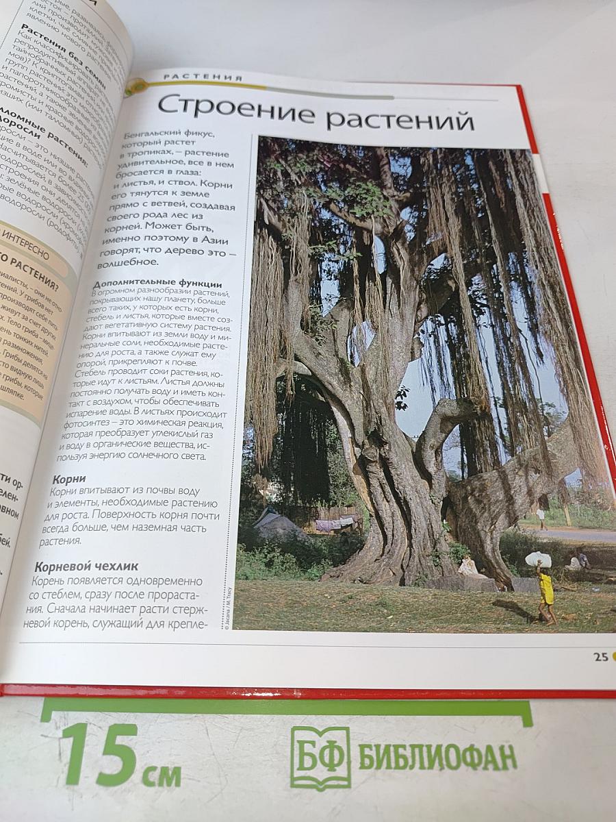 Наш мир от А до Я. Энциклопедия для детей. Том 47: От ракушек до резины: латекса и каучука