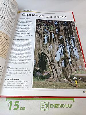 Наш мир от А до Я. Энциклопедия для детей. Том 47: От ракушек до резины: латекса и каучука