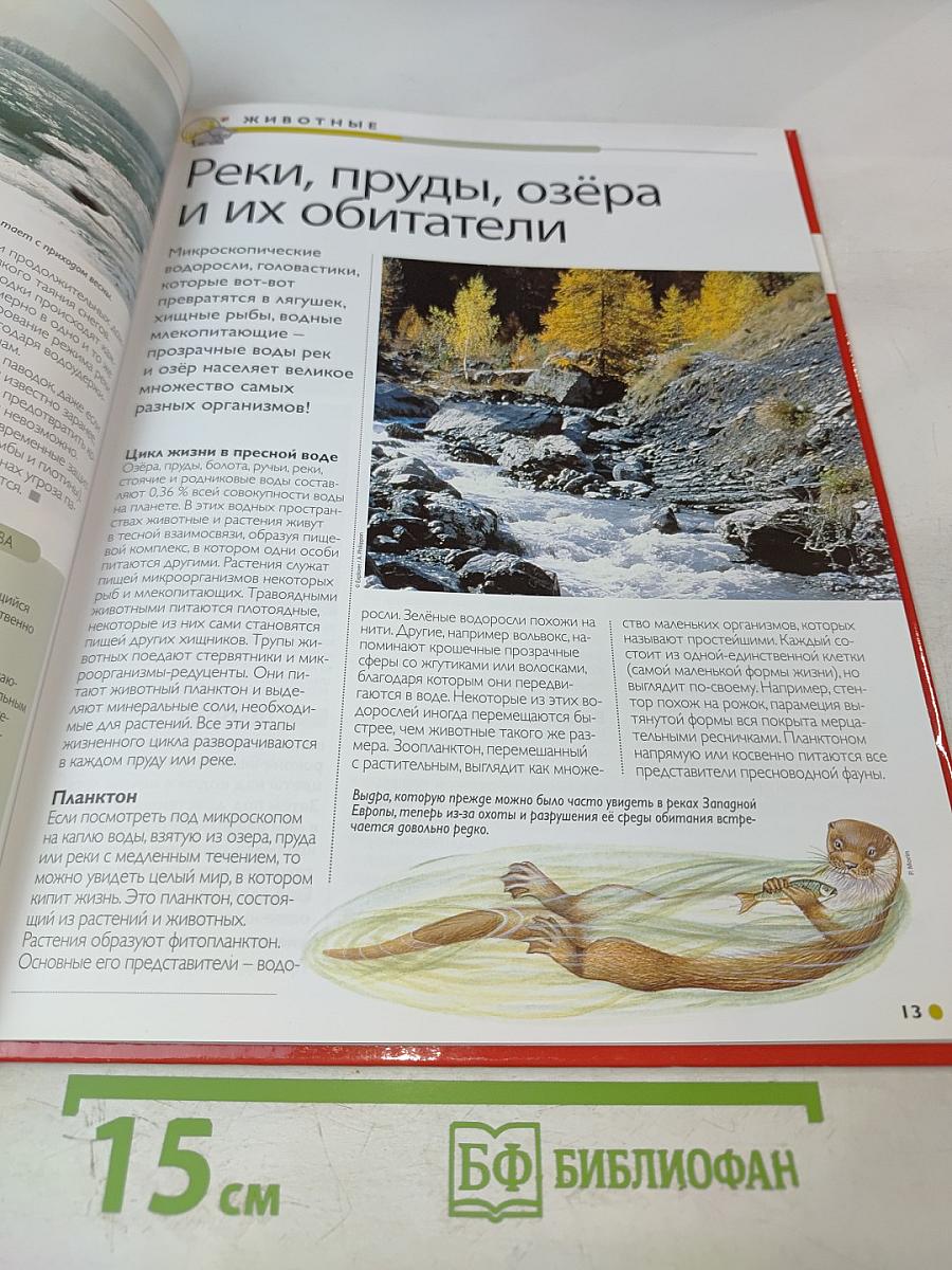 Наш мир от А до Я. Энциклопедия для детей. Том 48: От реки: от истока до устья до Ильи Репина