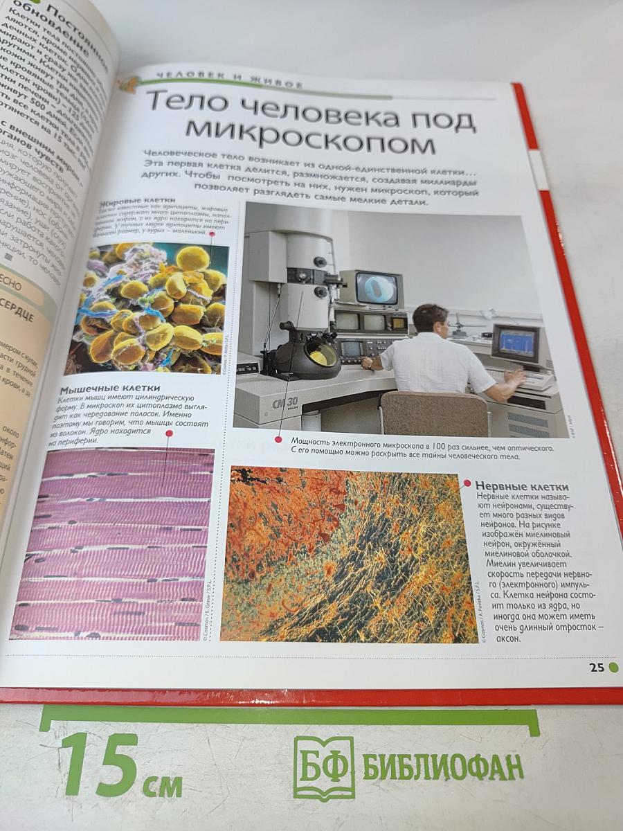 Наш мир от А до Я. Энциклопедия для детей. Том 57. От Большого театра до Токио