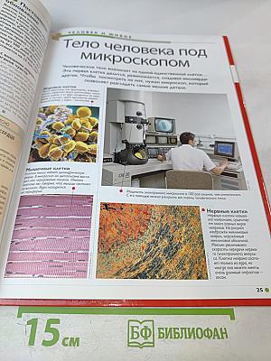 Наш мир от А до Я. Энциклопедия для детей. Том 57. От Большого театра до Токио