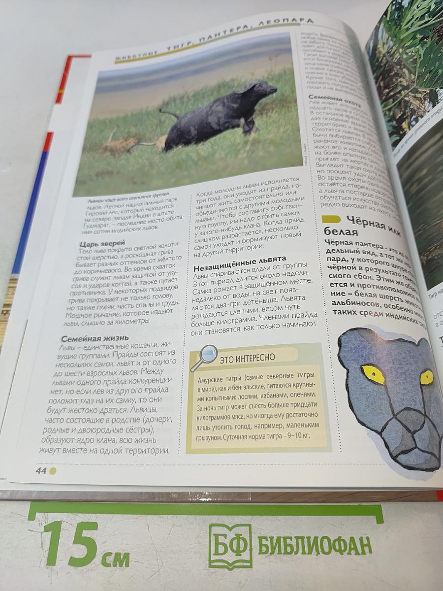 Наш мир от А до Я. Энциклопедия для детей. Том 57. От Большого театра до Токио