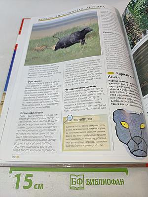 Наш мир от А до Я. Энциклопедия для детей. Том 57. От Большого театра до Токио