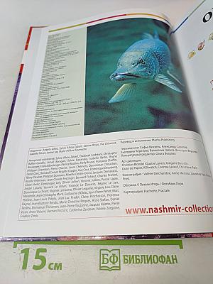 Наш мир от А до Я. Энциклопедия для детей. Том 44. От порта до приматов