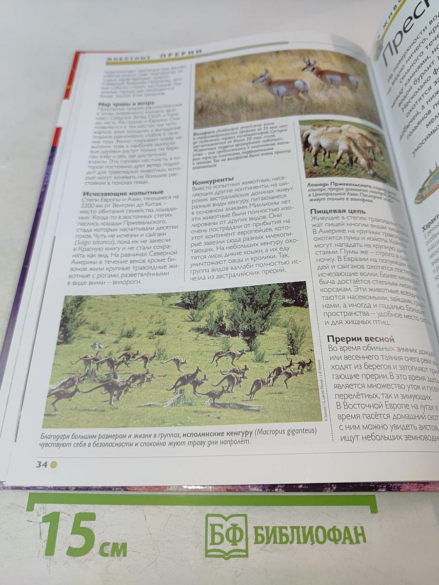 Наш мир от А до Я. Энциклопедия для детей. Том 44. От порта до приматов