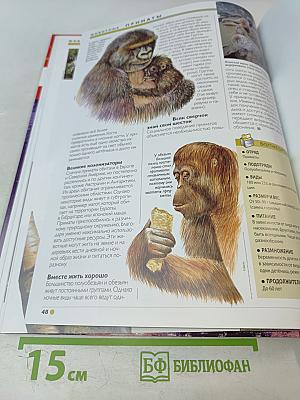 Наш мир от А до Я. Энциклопедия для детей. Том 44. От порта до приматов