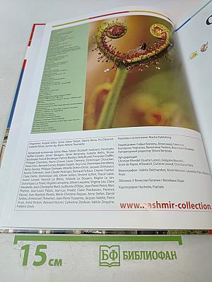 Наш мир от А до Я. Энциклопедия для детей. Том 42: От Макса Планка до подводных лодок