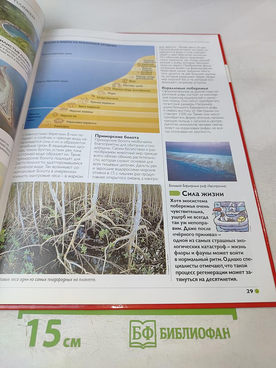 Наш мир от А до Я. Энциклопедия для детей. Том 42: От Макса Планка до подводных лодок