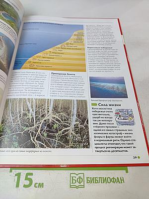 Наш мир от А до Я. Энциклопедия для детей. Том 42: От Макса Планка до подводных лодок